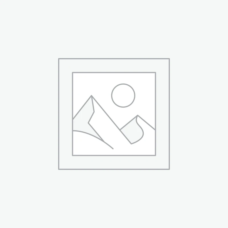 PALTAI - STRIUKĖS