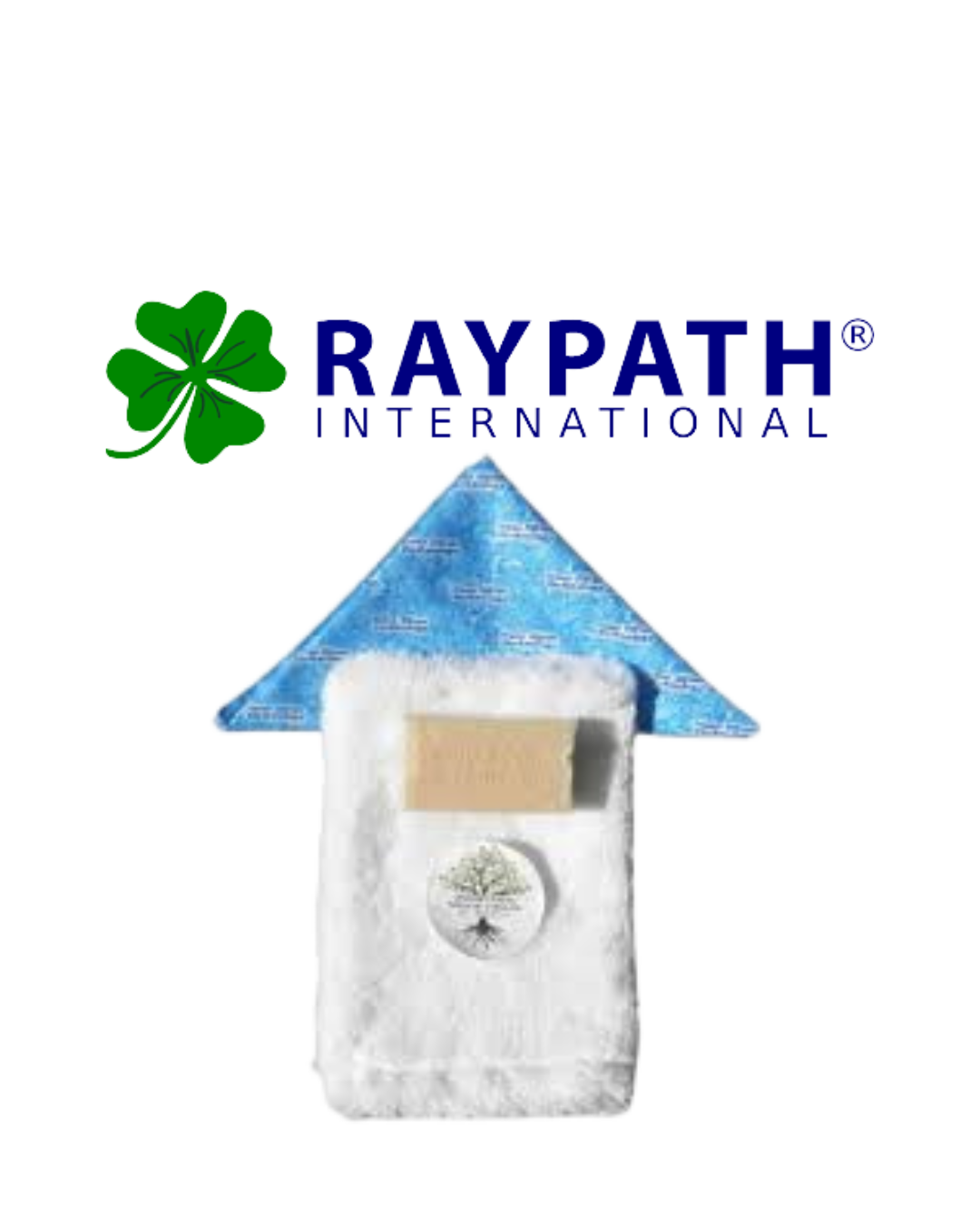 RAYPATH NANO SILVER RINKINIAI